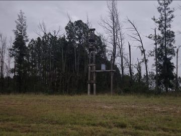 Venta, Campo, 50 hectáreas, Ruta 015, Concordia, área Aeropuerto Internacional