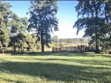 Venta, Campo, 50 hectáreas, Ruta 015, Concordia, área Aeropuerto Internacional