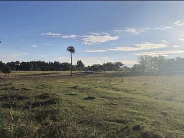 Venta, Campo, 50 hectáreas, Ruta 015, Concordia, área Aeropuerto Internacional