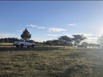 Venta, Campo, 50 hectáreas, Ruta 015, Concordia, área Aeropuerto Internacional