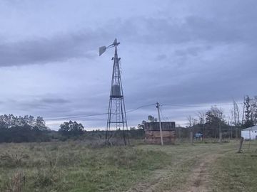 Venta, Campo, 50 hectáreas, Ruta 015, Concordia, área Aeropuerto Internacional