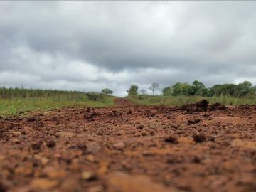 Venta, Campo, 50 hectáreas, Ruta 015, Concordia, área Aeropuerto Internacional