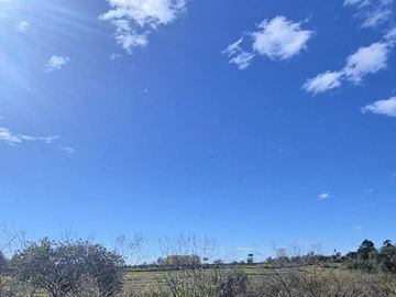 Venta, Campo, 50 hectáreas, Ruta 015, Concordia, área Aeropuerto Internacional