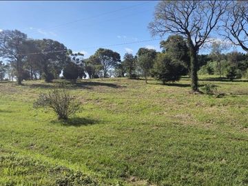 Venta, Campo, 50 hectáreas, Ruta 015, Concordia, área Aeropuerto Internacional