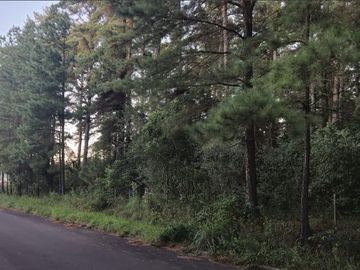 Venta, Campo, 50 hectáreas, Ruta 015, Concordia, área Aeropuerto Internacional