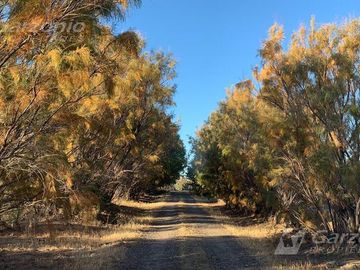 Chacra - Trelew