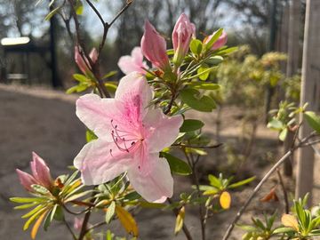 VENTA  2 CABAÑAS A ESTRENAR  1  HA EN  SAN JAVIER