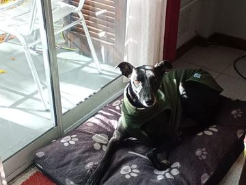 PH en venta - 2 Dormitorios 1 Baño - 52Mts2 - Monte Grande