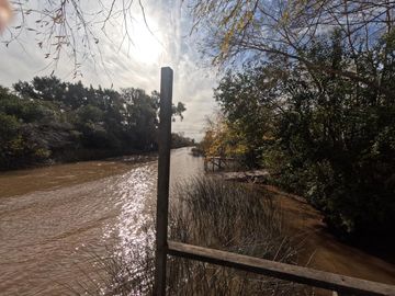 Isla con Cabaña en Venta | Delta - Tigre | Totalmente Equipada con muelle propio
