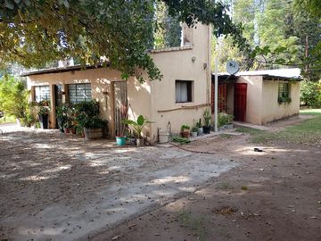 Finca   Viñedo en Venta en Junin, Mendoza