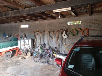 Finca   Viñedo en Venta en Junin, Mendoza