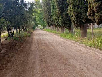 Finca   Viñedo en Venta en Junin, Mendoza