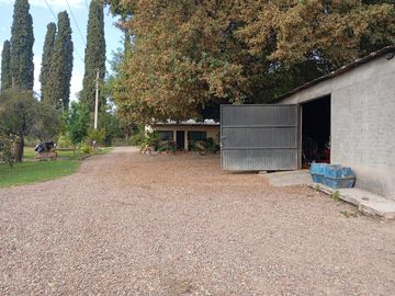 Finca   Viñedo en Venta en Junin, Mendoza