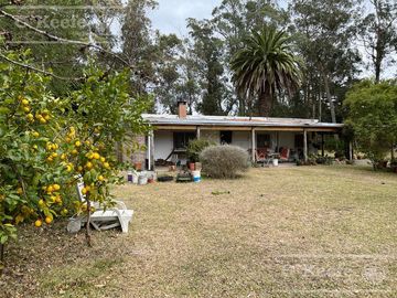 5 has en Veronica - Chacra en Venta con Importante Arboleda