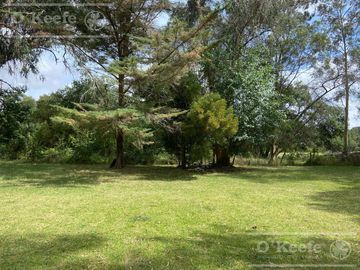 5 has en Veronica - Chacra en Venta con Importante Arboleda