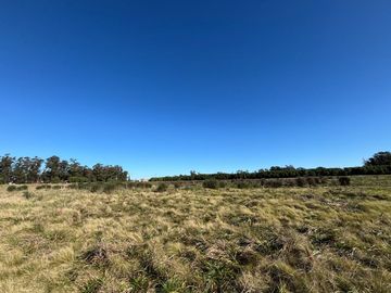 QUINTA EN VENTA 1HECTAREA EN NECOCHEA, OPORTUNIDAD