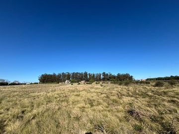 QUINTA EN VENTA 1HECTAREA EN NECOCHEA, OPORTUNIDAD