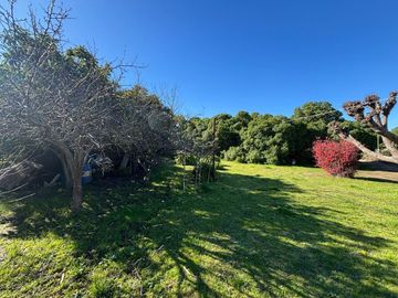 QUINTA EN VENTA 1HECTAREA EN NECOCHEA, OPORTUNIDAD