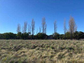 QUINTA EN VENTA 1HECTAREA EN NECOCHEA, OPORTUNIDAD