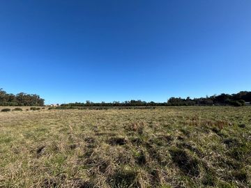 QUINTA EN VENTA 1HECTAREA EN NECOCHEA, OPORTUNIDAD