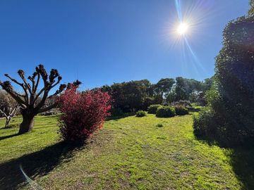 QUINTA EN VENTA 1HECTAREA EN NECOCHEA, OPORTUNIDAD