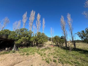 QUINTA EN VENTA 1HECTAREA EN NECOCHEA, OPORTUNIDAD