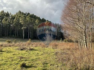 Parcela Agricola con ubicacion estratégica