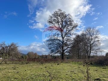 Parcela Agricola con ubicacion estratégica