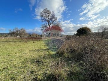 Parcela Agricola con ubicacion estratégica