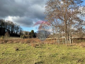 Parcela Agricola con ubicacion estratégica
