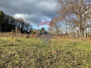 Parcela Agricola con ubicacion estratégica