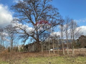 Parcela Agricola con ubicacion estratégica