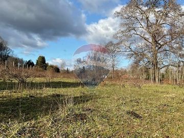 Parcela Agricola con ubicacion estratégica