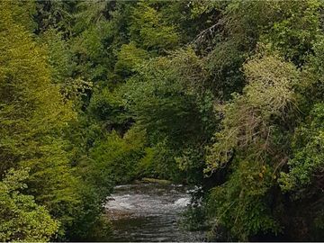 Invierte en el Paraíso: Terreno en Aysén, Chile