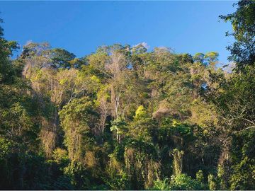 Invierte en el Paraíso: Terreno en Aysén, Chile