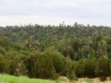 Invierte en el Paraíso: Terreno en Aysén, Chile