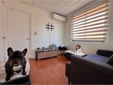 Luminosa Segura Vista Oriente 4 Dorm