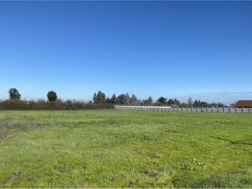 ESPECTACULAR TERRENO! RESERVA HUILQUILEMU, TALCA