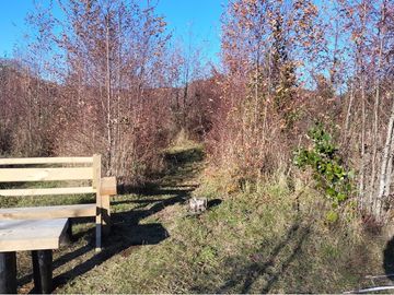 VENTA DE CASA EN LOS LAURELES SECTOR CUNCO