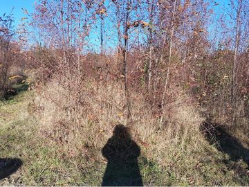 VENTA DE CASA EN LOS LAURELES SECTOR CUNCO