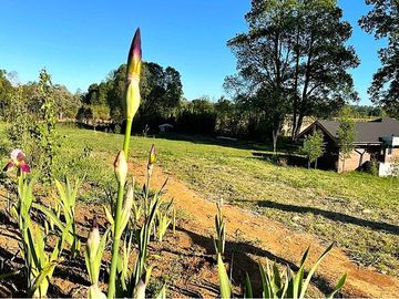 Venta de casa en parcela en Villarrica