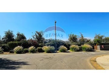 EN ESQUINA; GRAN QUINCHO; EL REMANSO DE CHICUREO