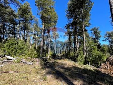 Venta Parcela en Loteo Nevados de Challupen