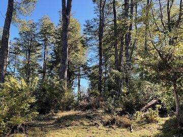 Venta Parcela en Loteo Nevados de Challupen