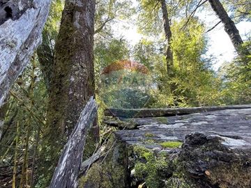 Venta Parcela en Loteo Nevados de Challupen
