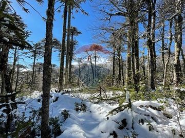 Venta Parcela en Loteo Nevados de Challupen