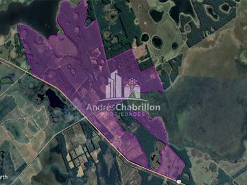 Apto Para La Producción De Frutales Y Forestación.