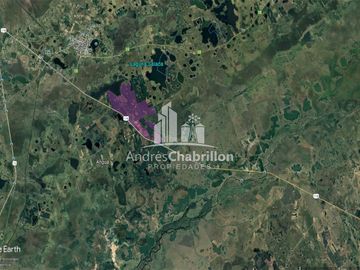 Apto Para La Producción De Frutales Y Forestación.