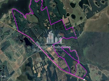 Apto Para La Producción De Frutales Y Forestación.