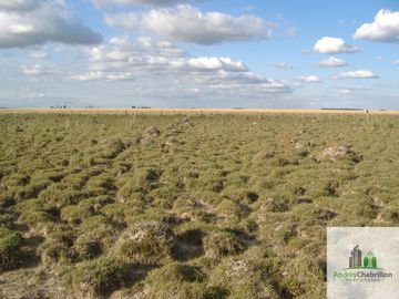 Paso De Los Libres, Corrientes
